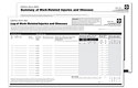 Osha Log 300 And 300A